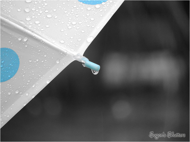 emphoka, photo of the day, Sugan Raj Bharathi, Nikon Coolpix P510 emphoka, photo of the day, Sugan Raj Bharathi, Nikon Coolpix P510