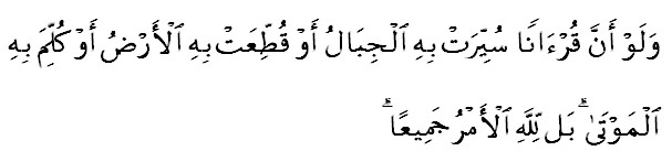 Bulu Perindu Asli Kalimantan