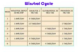 Winstrol dosage cycle