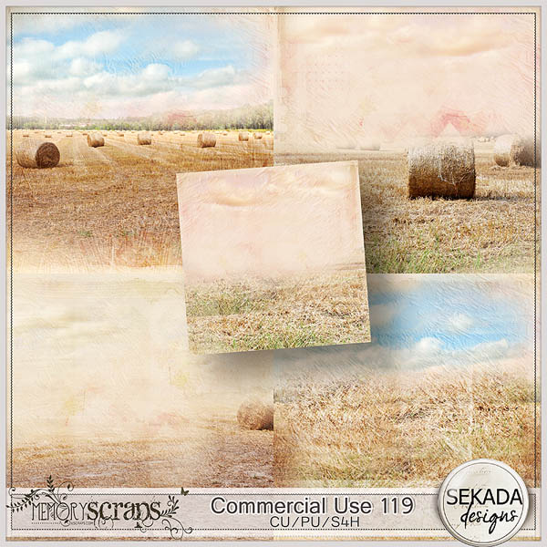 http://www.mscraps.com/shop/Commercial-Use-119-Papers/