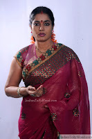 Jayavani Latest Saree Photos 3 pic 2