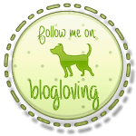 Follow on Bloglovin