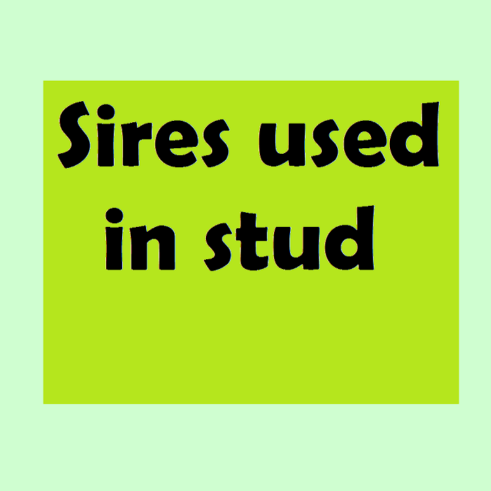 Sires used in Stud