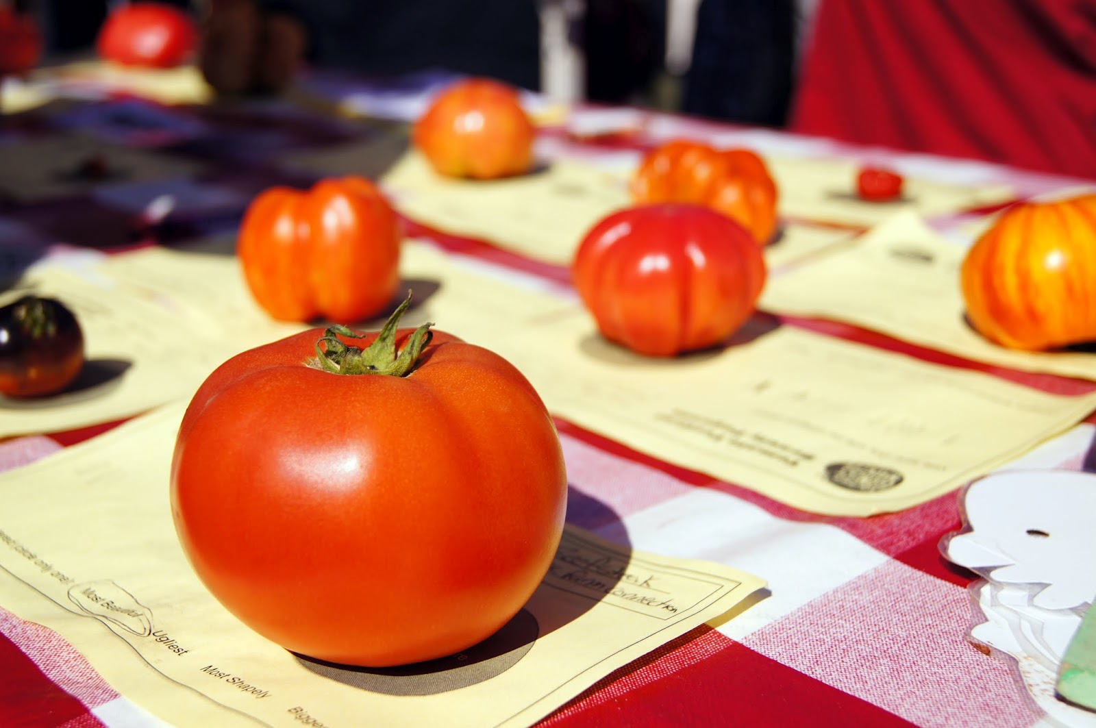 Mashed Thoughts Tomato Festival at Trout Lake Farmers Market