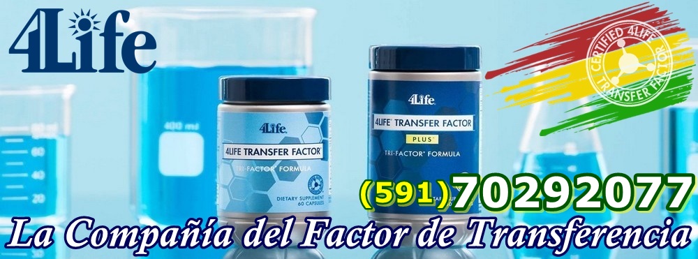 FactordeTransferenciaSantaCruz – La Compañía del Factor de Transferencia