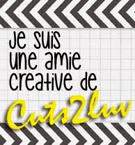 Designer invitée / Guest DT