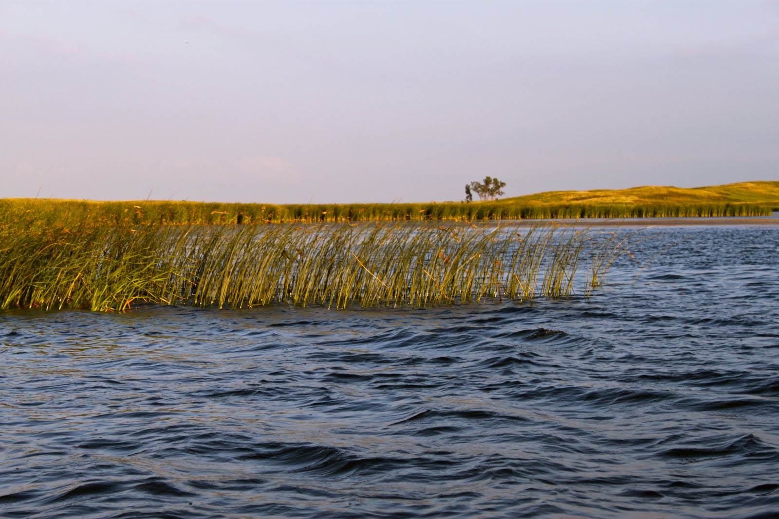 Wishek, North Dakota Why Visit Wishek