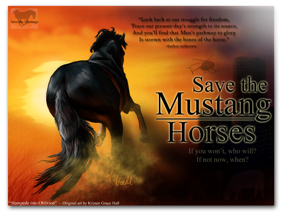 Save the Mustangs