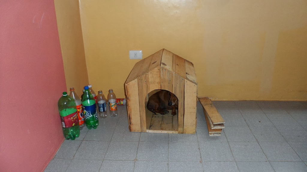 Frutas Caja De Madera Para Cama De Perro Cama Para Gato Cama Para