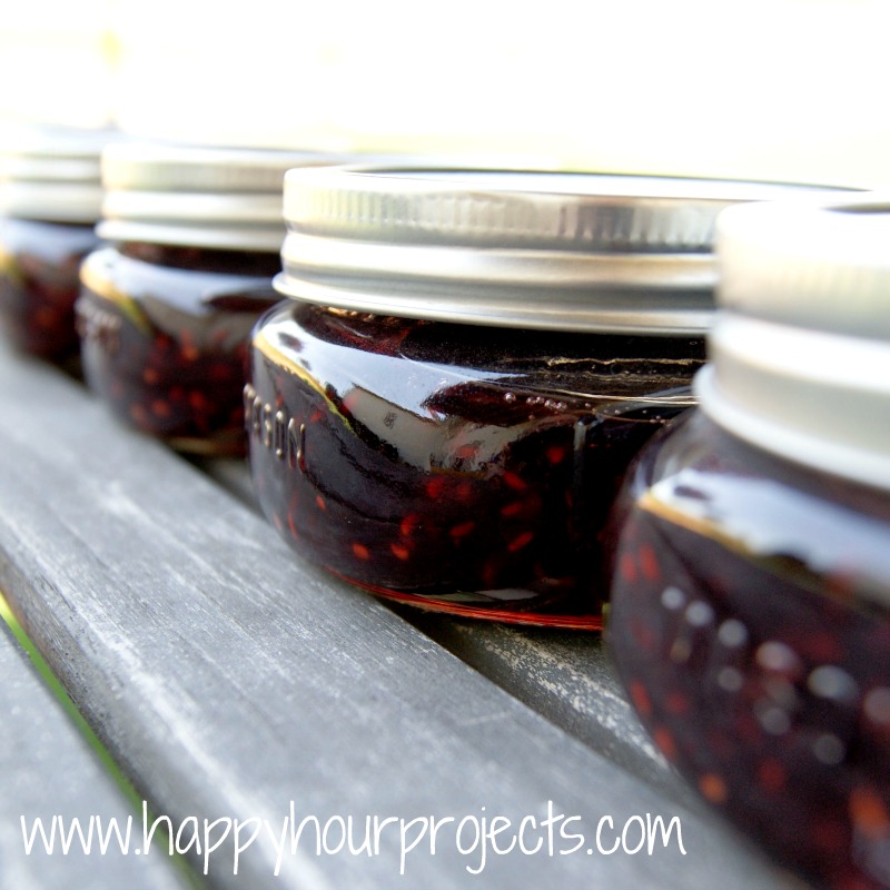 RaspberryPomegranate Jam Happy Hour Projects