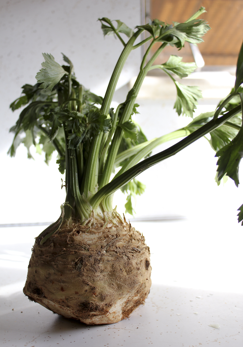 celery root and onion rösti