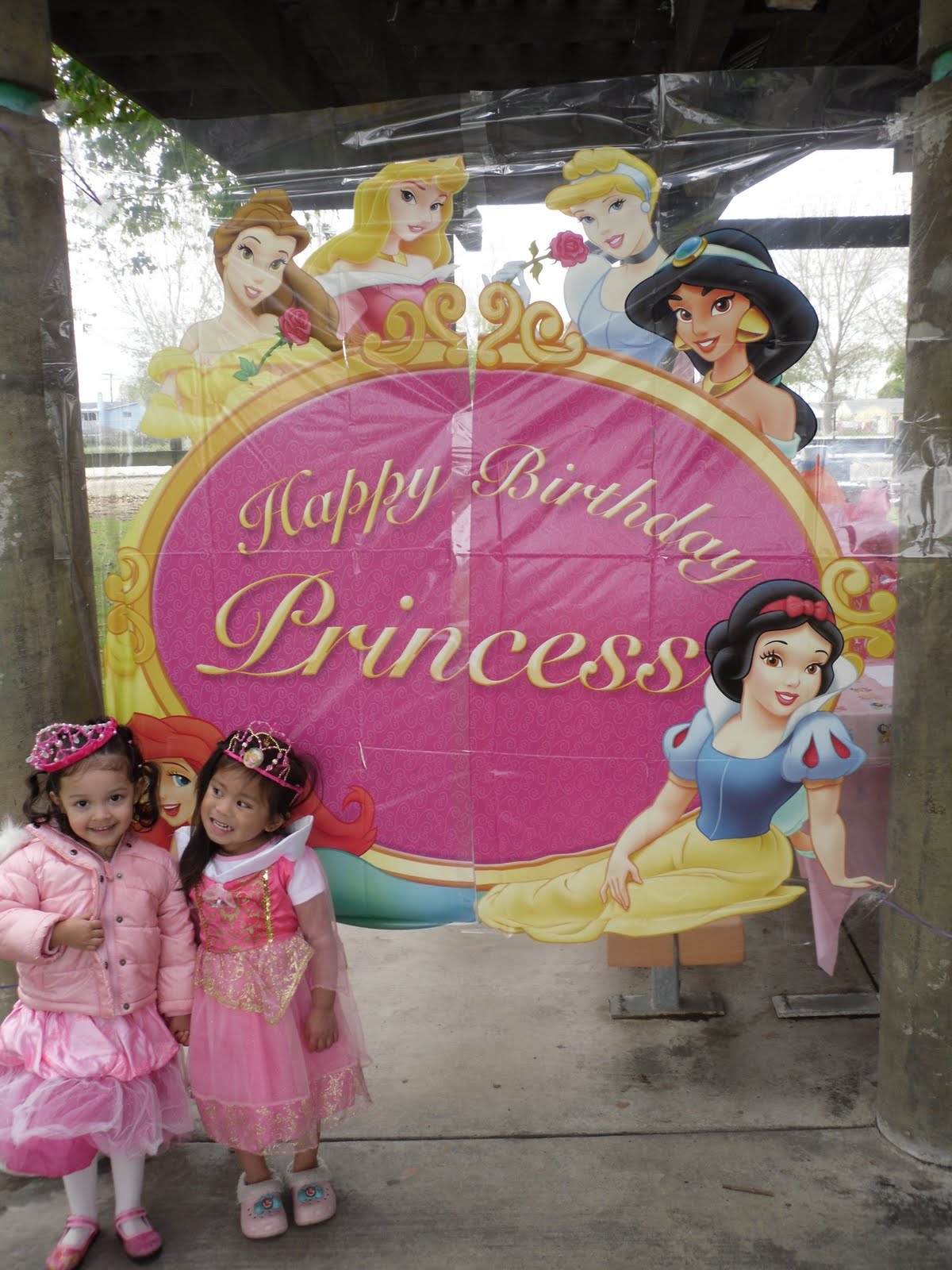 c cakes: Disney Princess Birthday Party