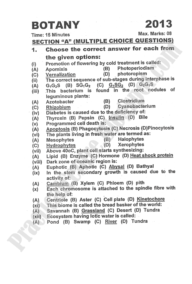 botany-2013-five-year-paper-class-XII