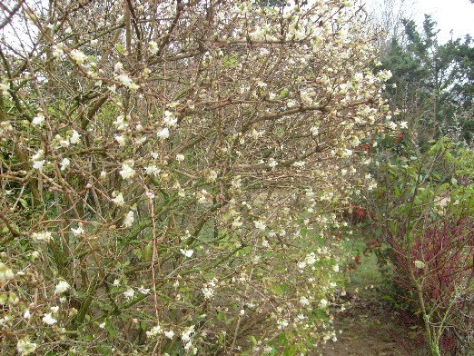 Chambres D Hotes Au Jardin Des Violettes Mars 2015