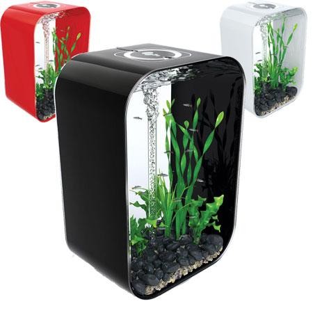 Image Result For Gallon Aquarium Image Result For Gallon Aquarium