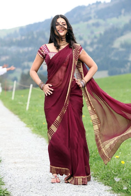 Actress Shruthi Hassan Saree Below Navel Show Photos