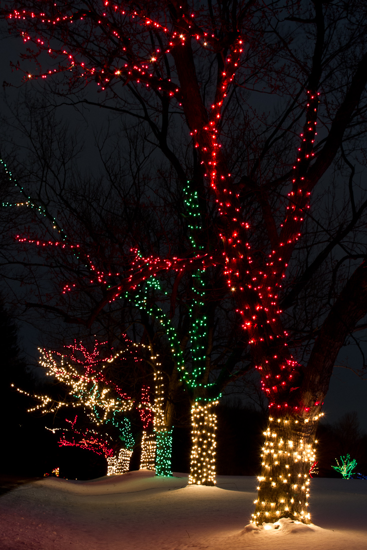 Douglas Shoop Photography 12/01/2011 01/01/2012