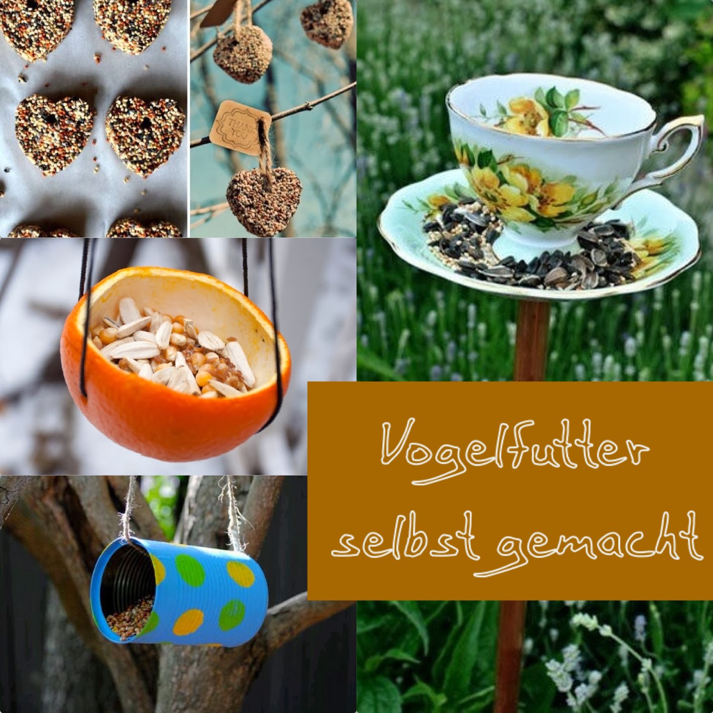 Vogelfutter im Winter selber machen 7 Rezepte Philognosie