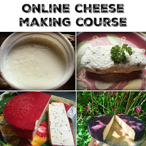 Online Cheesemaking Course