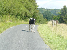 Rustige weg in Frankrijk