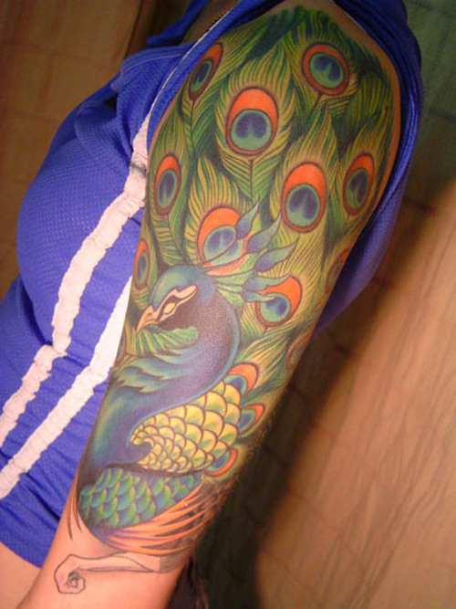 peacock tattoo 