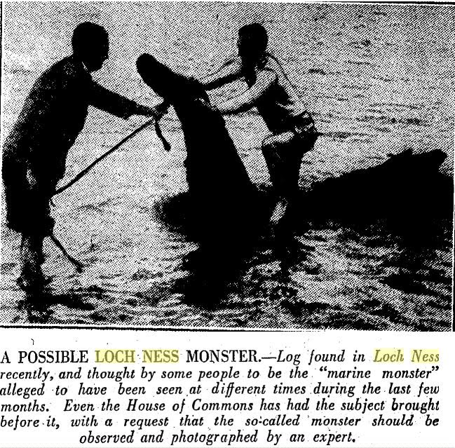 Loc Nest Monster