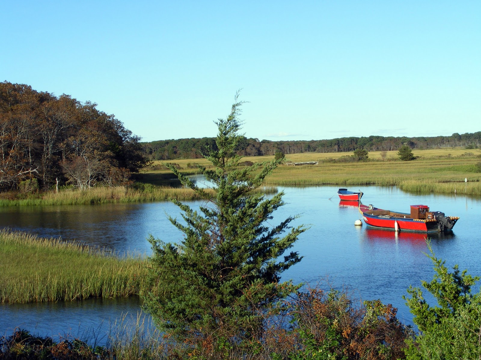 The Magic of Ordinary Days Herring River...
