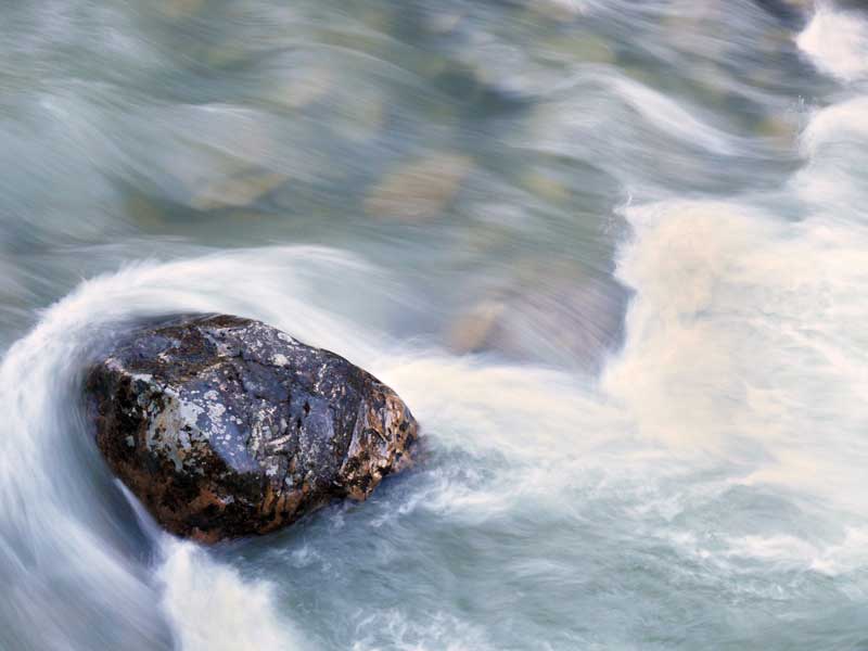 quot be like water my friend quot quot be like water my friend quot