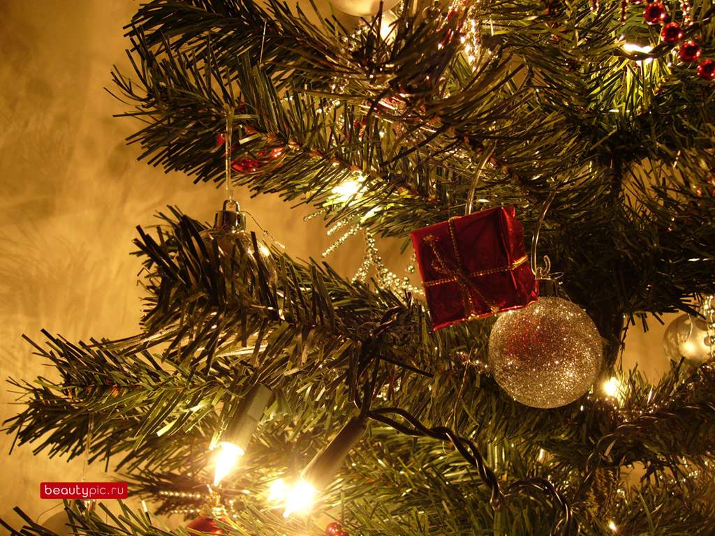 http://1.bp.blogspot.com/-UuDymS7SLBY/UNZram0633I/AAAAAAABeCE/IdqkY-ErMVk/s1600/bm-image-782392.gif