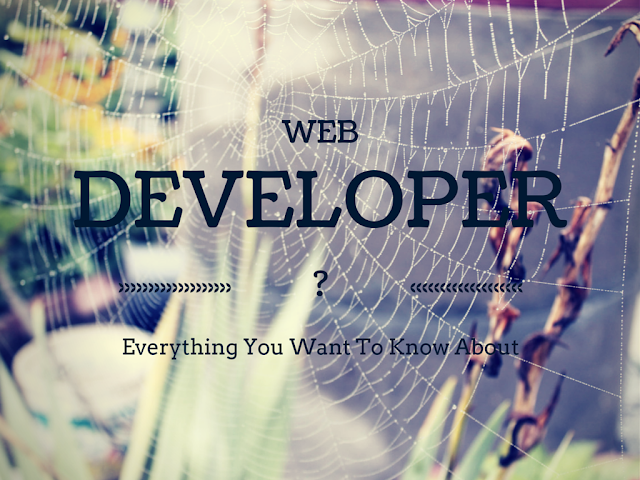 What is A Web Developer