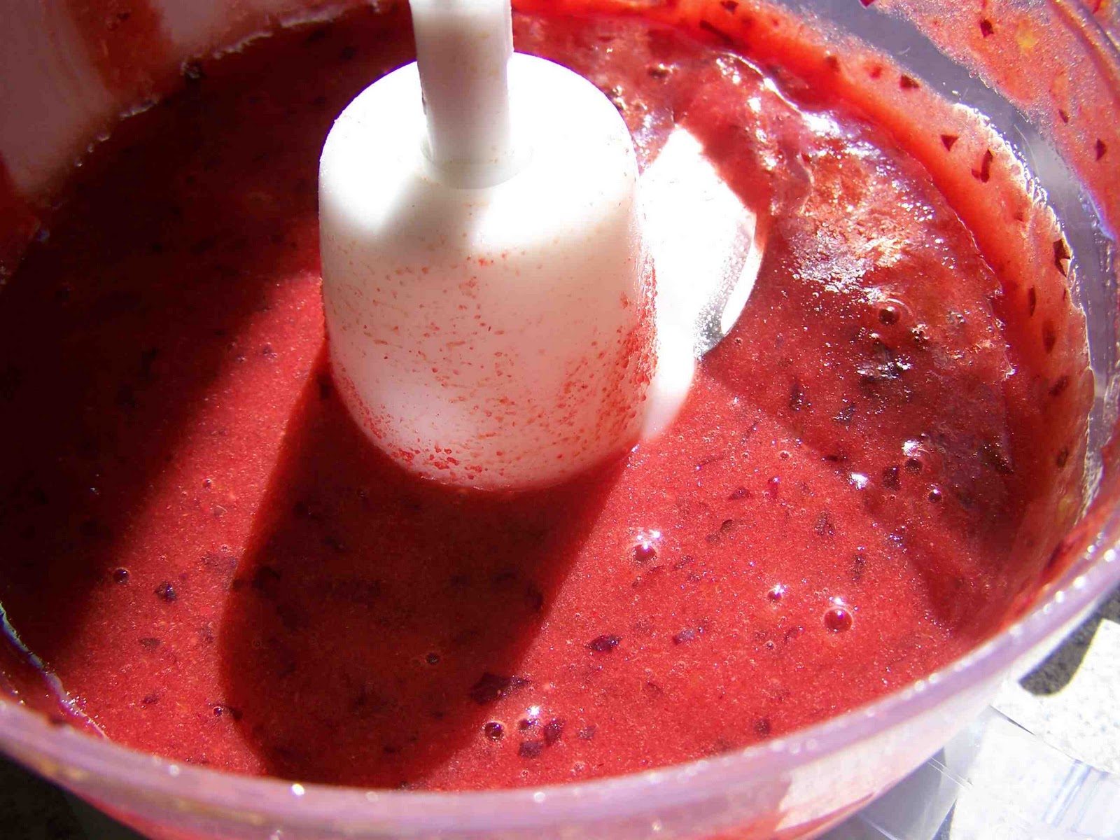 Made by Me. Shared with you. Harvest...and Plum Apple Jello Fruit Leather