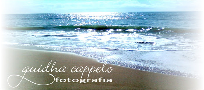 BLOG DE FOTOGRAFIAS