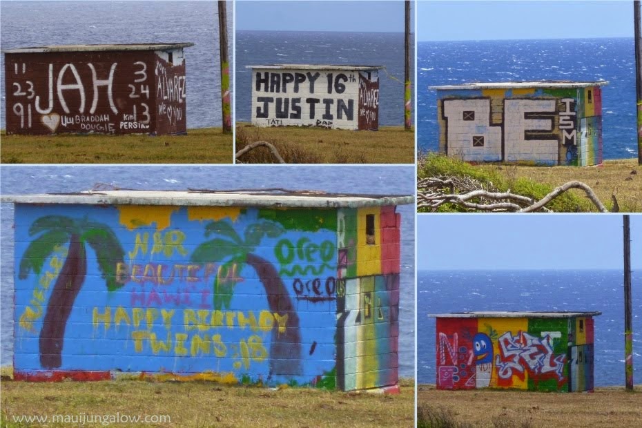 Maui Jungalow Roadside Art The Pillbox Mural at Ho'okipa (April June)