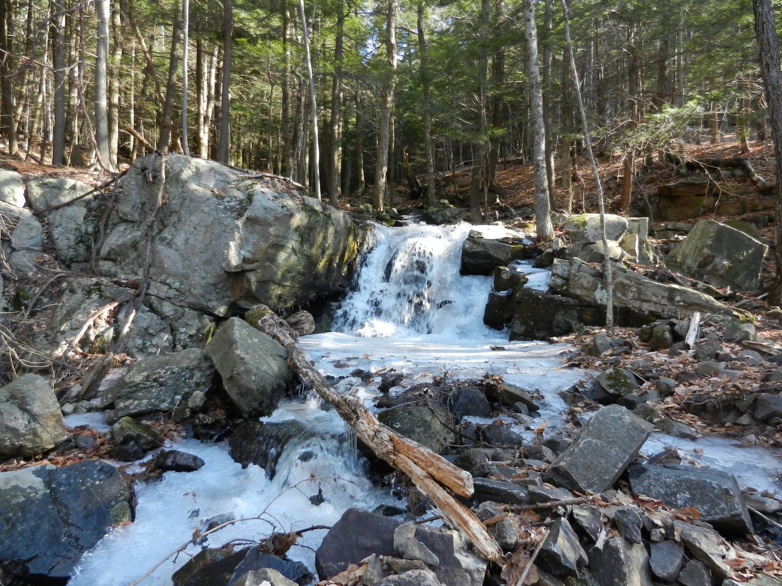 Off on Adventure Pilot Knob Preserve 3/9/12
