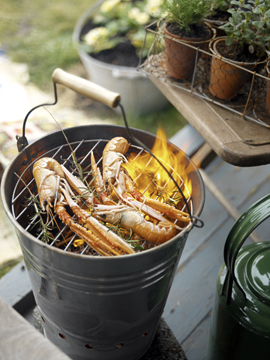 Bucket Bbq