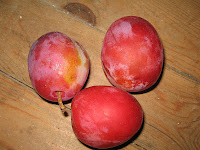 victoria plums