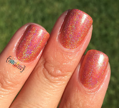 Nail Hool Leviticus Holo'd Nail Hool Leviticus Holo'd