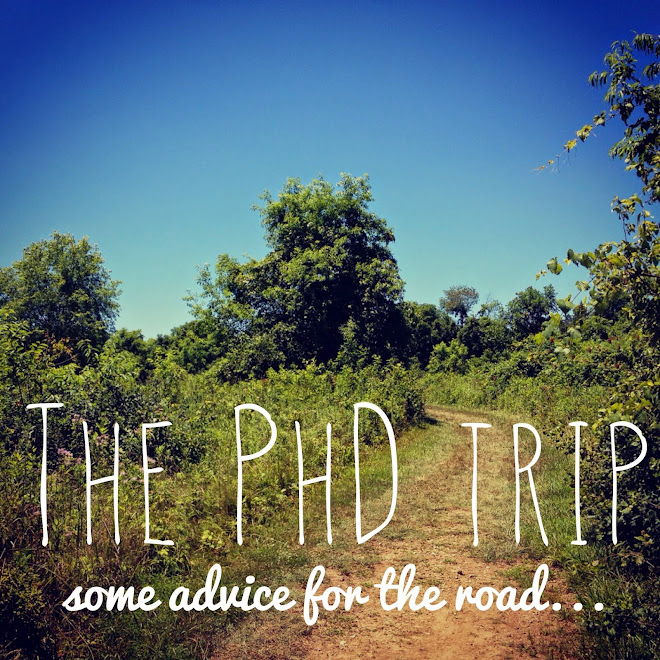 The PhD Trip: some advice for the road...