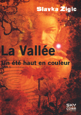 LA VALLEE (Tome 1) UN ETE HAUT EN COULEUR de Slavka Zigic 9782364390133FS