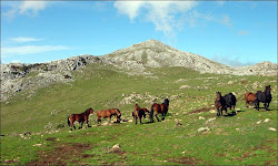 Cima de el Angliru