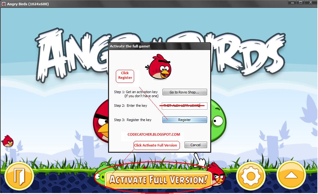 Angry Bird Seasons Activation Key Free Download