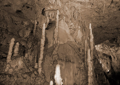 Bears Cave - Pestera Ursilor , Bihor