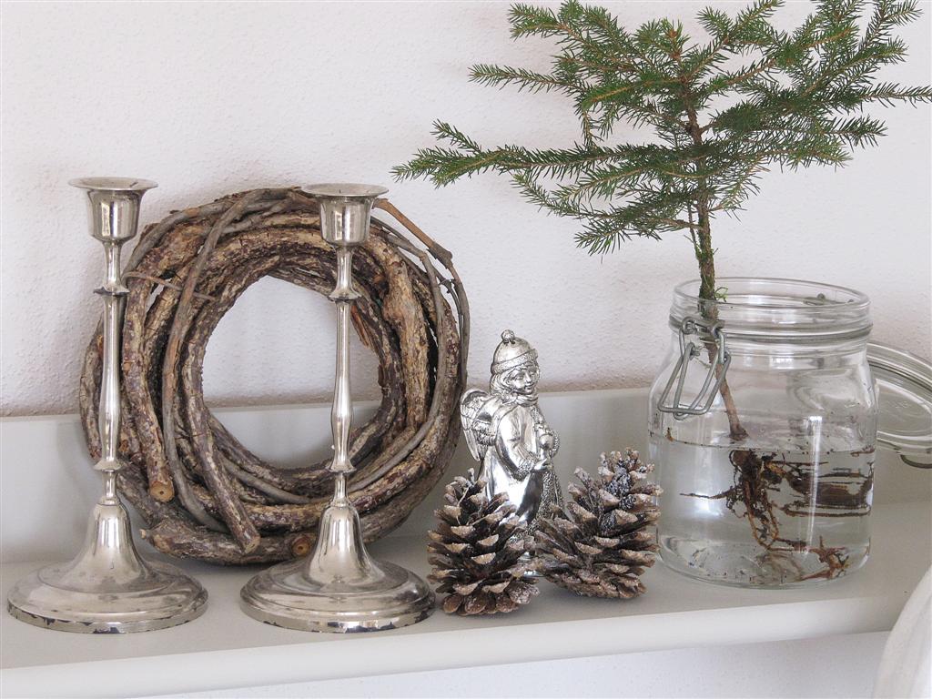 Mein Waldgarten Tanne im Glas