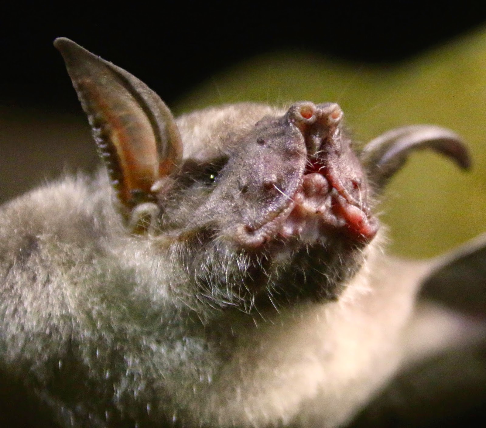 Connecting with Nature February 2015