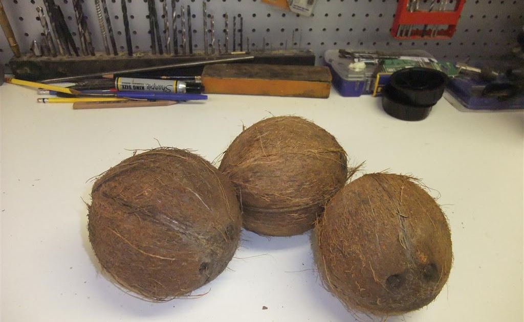 Mailing Coconuts