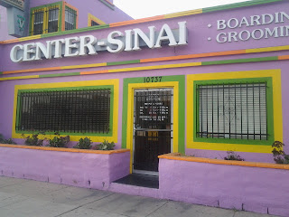 Best Vet In Culver City