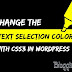 Change the text selection color with CSS3 In WordPress