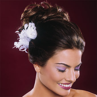 Updo Hairstyles Cost | fossils antiques wedding hairstyles updos prices Updo Hairstyles Cost | fossils antiques wedding hairstyles updos prices