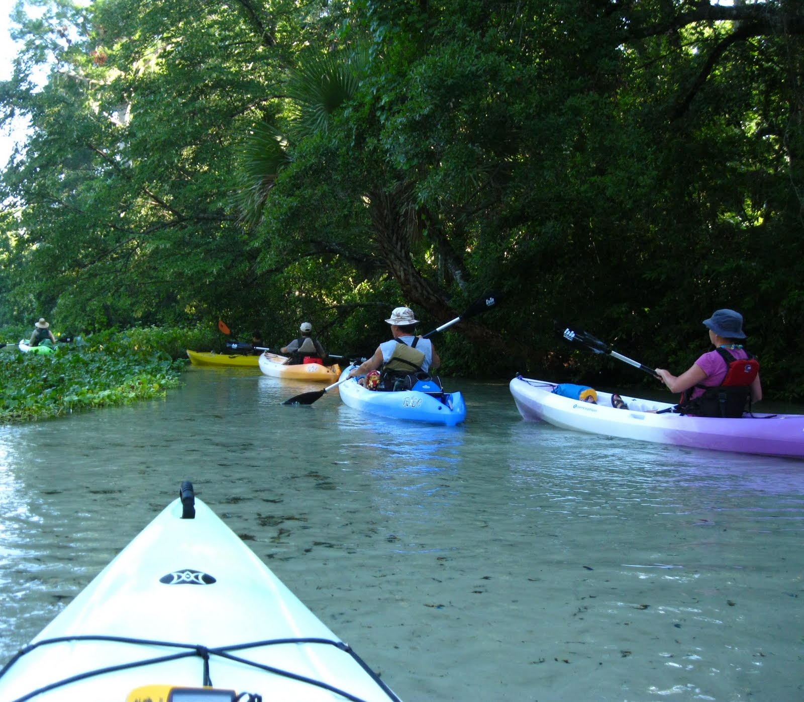 Central Florida Kayak Tours Kayaking Florida's Springs