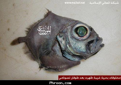 صور مخلوقات غريبه ظهرت بعد طوفان تسونامي !!!